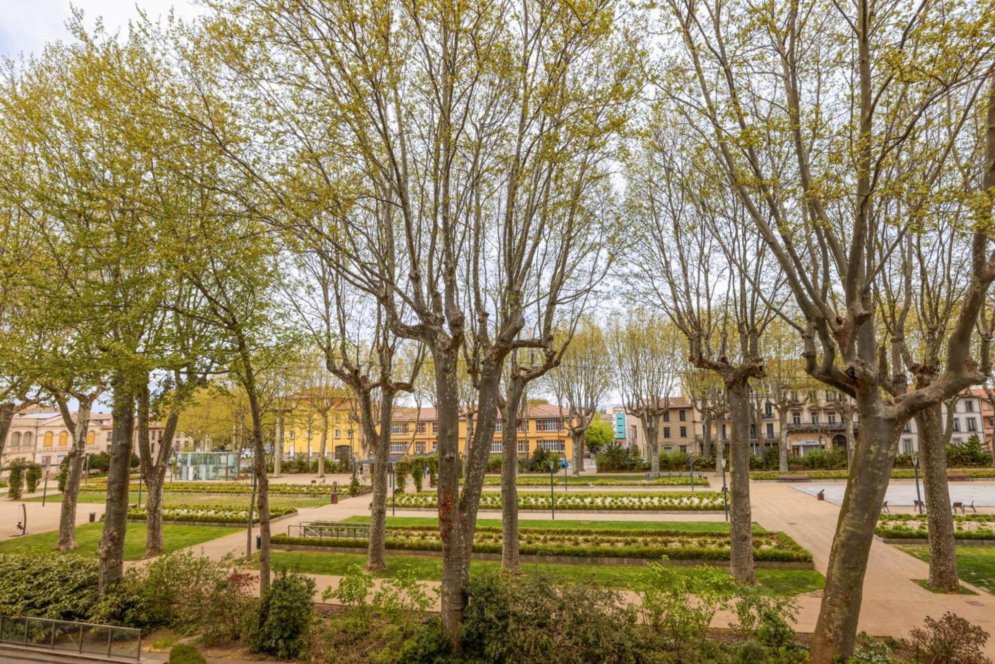 L'Art De Gambetta Conciergeriedamecarcas Lejlighed Carcassonne Eksteriør billede